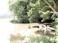 Shione and her busty lesbian friend toying each other by the river